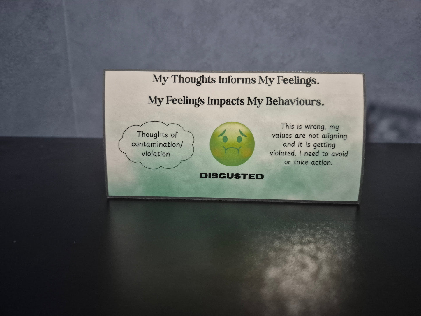 Thoughts, Feelings & Behaviours Magnet Collection
